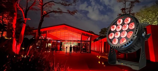 Battery LED Par Lights